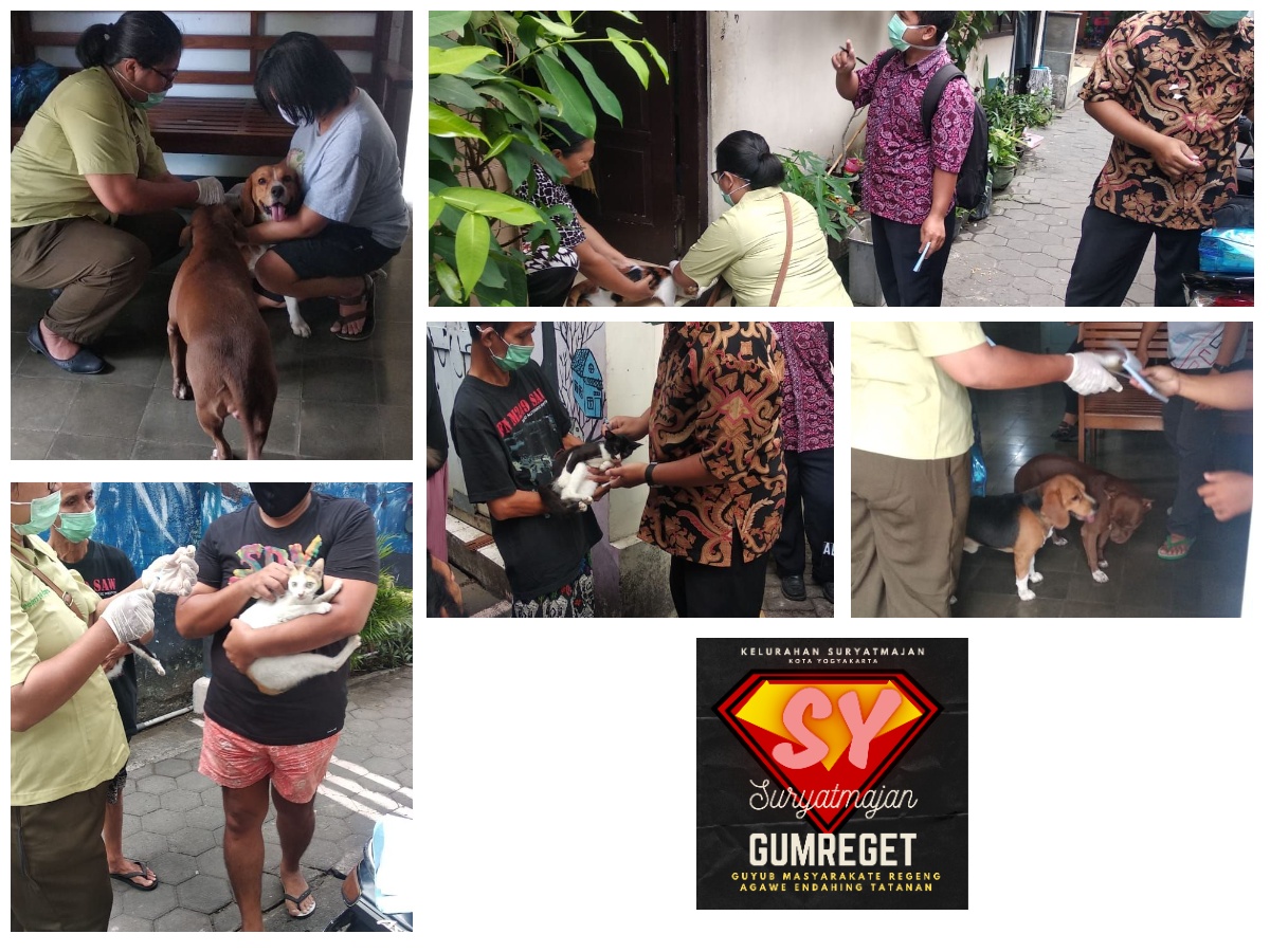 Pelaksanaan Vaksinasi Rabies ke hewan di Kelurahan Suryatmajan dengan cara Jemput Bola